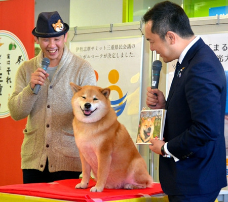日本網紅柴犬人氣高 當旅遊大使獲政要接見(圖)