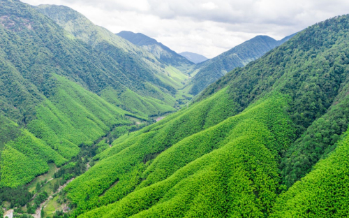 江西“百县百日”文旅消费季铅山县分会场全新推出4条精品旅游线路