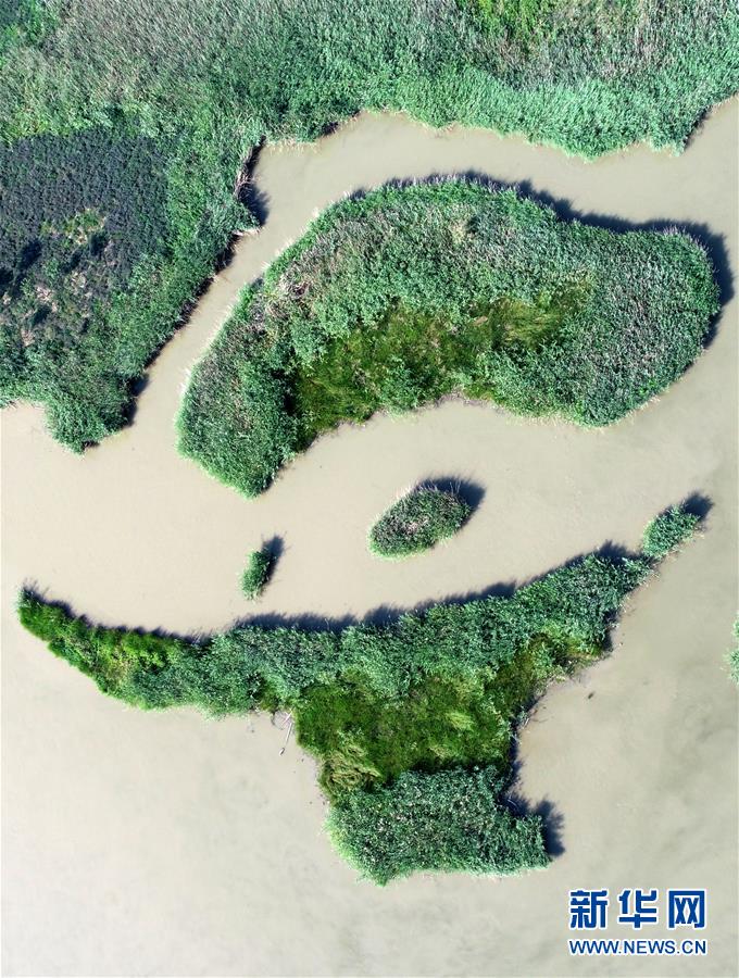 天津：七里海濕地上的畫卷