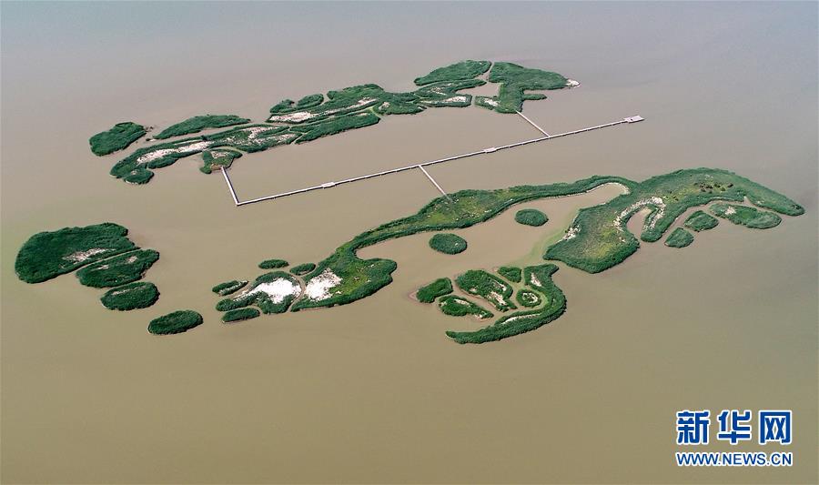 天津：七里海湿地上的画卷