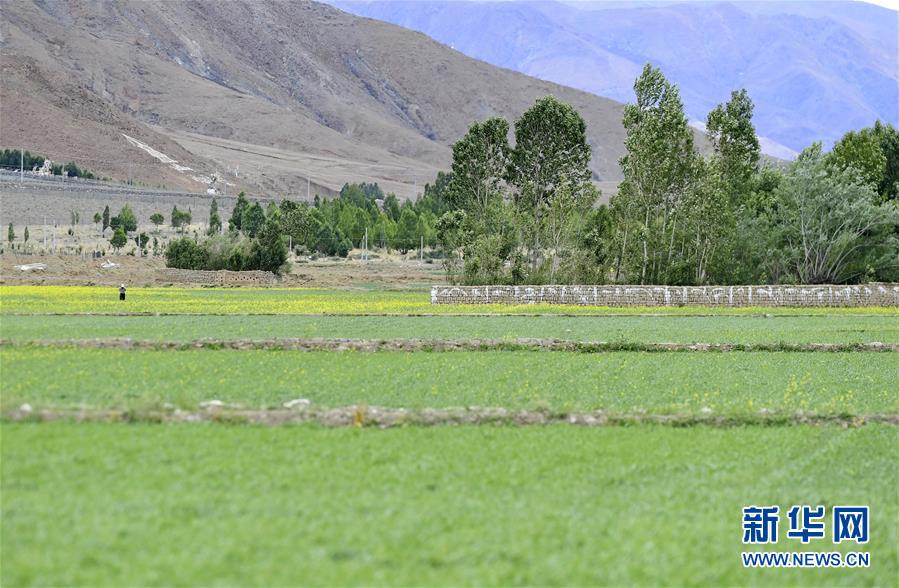 日喀则：“后藏粮仓”风光旖旎