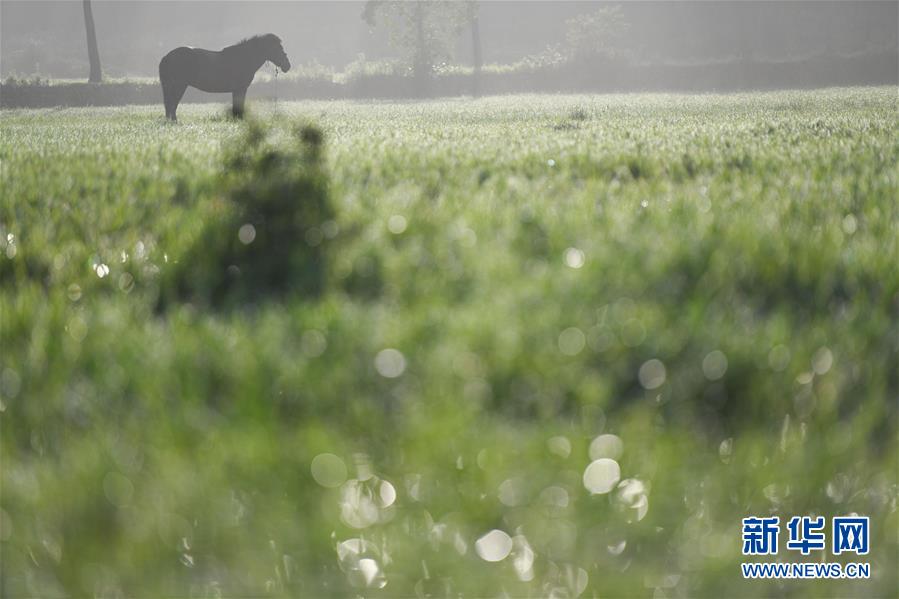 晨之皖南 景色迷人