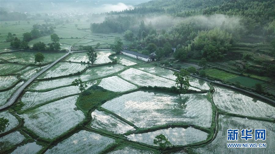 晨之皖南 景色迷人