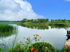 【母親河畔的中國】“慢主義”融合“黃河情” 高青打造詩意生活棲息地