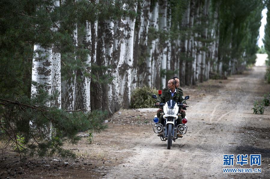 宁夏灵武：毛乌素沙地的“绿色长城”