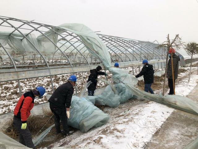 吳忠供電：踏雪巡線 全力守護電網安全_fororder_2