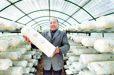湖北香菇酱每日百吨从阳逻港出海