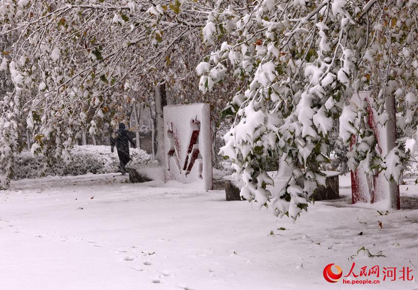 白雪皑皑银装素裹 河北各地迎来今冬“初雪”