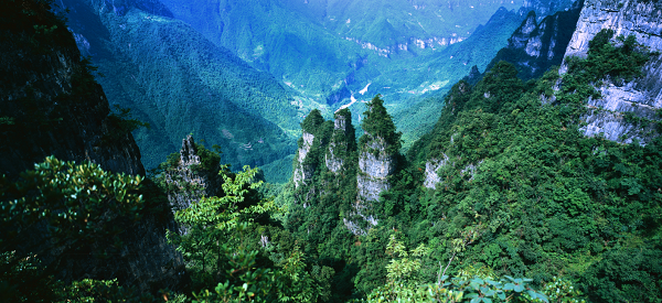 武汉周边22度的避暑天堂，柴埠溪今起对中高考生免费开放!