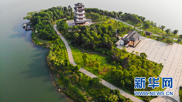 鸟瞰盛夏二乔公园 湖水碧绿草木葱茏