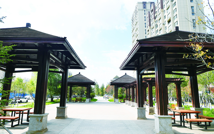 長春吉森園：家門口的“口袋公園”