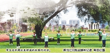 哈尔滨新区高质量教育蓝图这样绘就