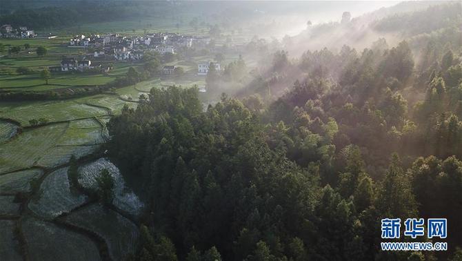 图片默认标题_fororder_11