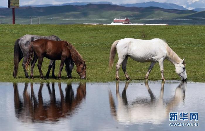 图片默认标题_fororder_CqgNOl0QHUGAaxwRAAAAAAAAAAA433.899x573
