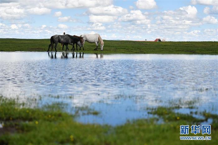 图片默认标题_fororder_CqgNOl0QHUGAQNH1AAAAAAAAAAA462.900x600