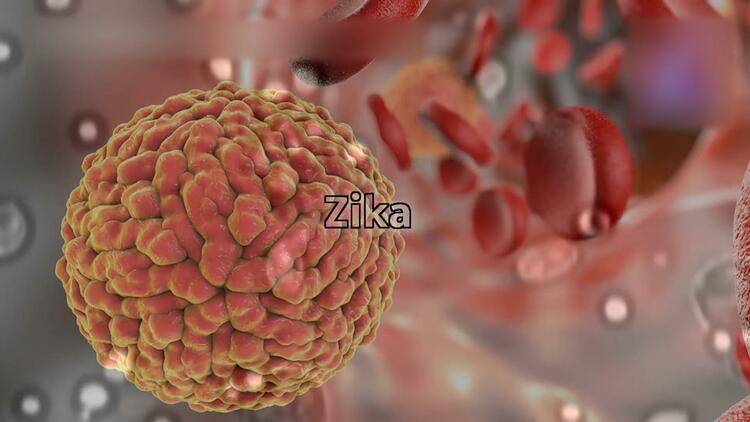 世界观•美国深镜头｜生化危机制造者