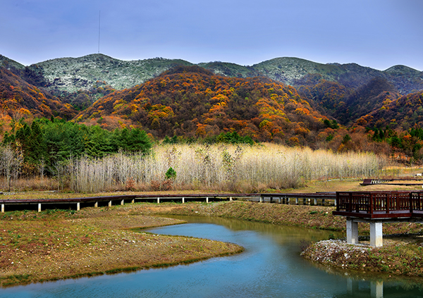 图片默认标题_fororder_2