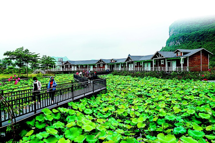 壮族老家上林生态旅游大餐开席了