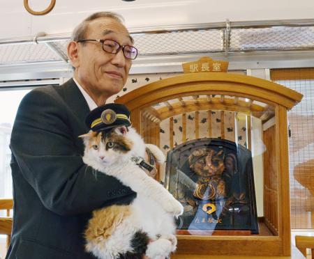 日本举行猫咪站长浮雕揭幕式 新猫站长祝福(图)