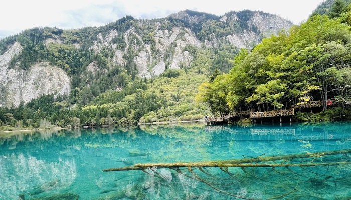 Jiuzhaigou fully reopens to visitors after earthquake_fororder_61541b98a310cdd3d8107625
