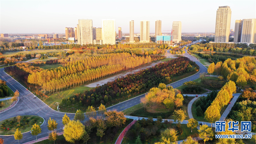 河南許昌：初冬芙蓉湖畔景色美