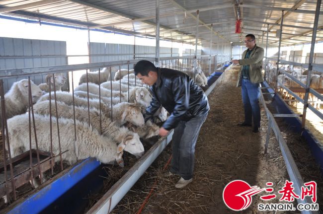 【三秦大地 宝鸡】宝鸡凤翔县柳林镇:着力提升群众获得感和幸福感