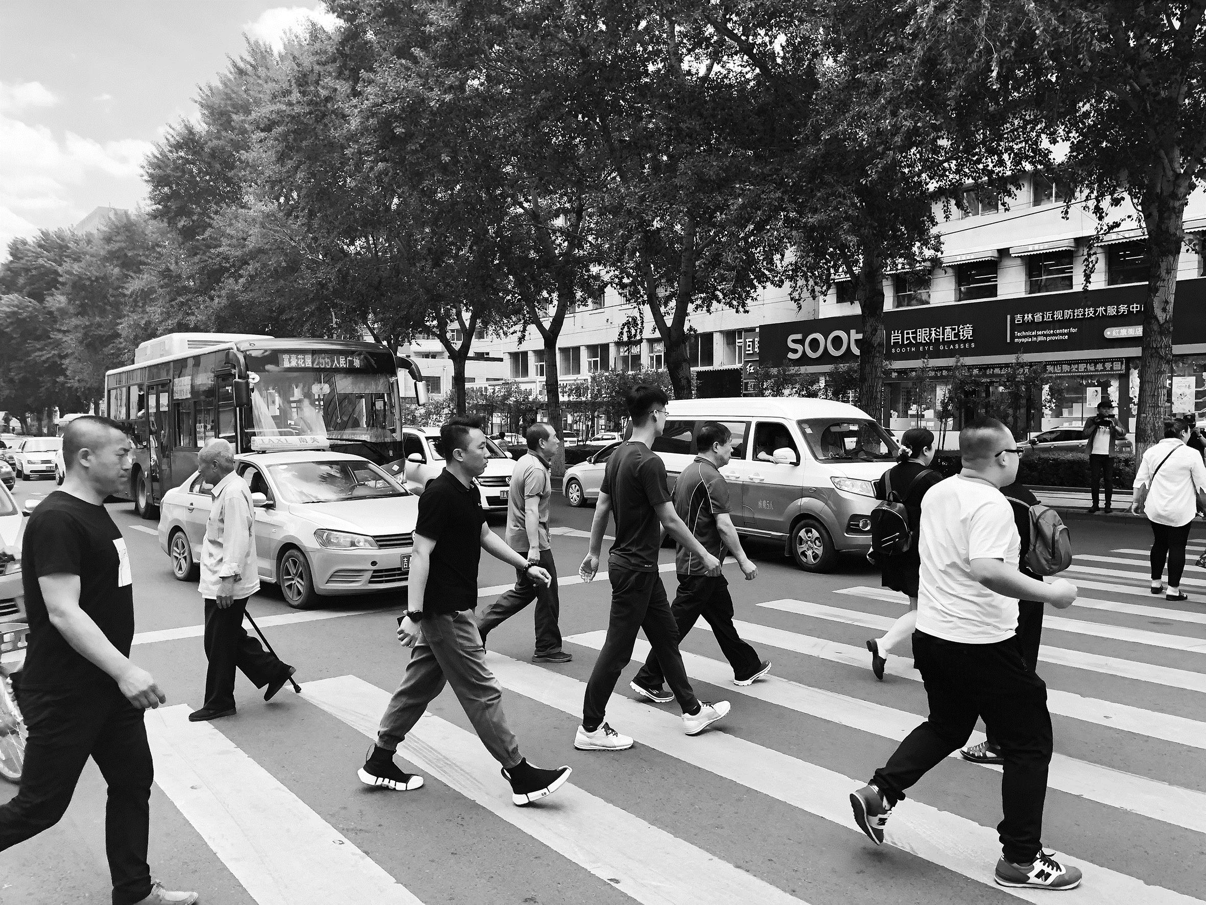 长春市交通运输局下发倡议书：公交车出租车要做礼让斑马线的表率