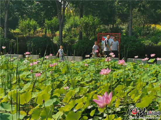 图片默认标题_fororder_e55ef12d-f978-43ad-b20e-b1084bf2673e_watermark