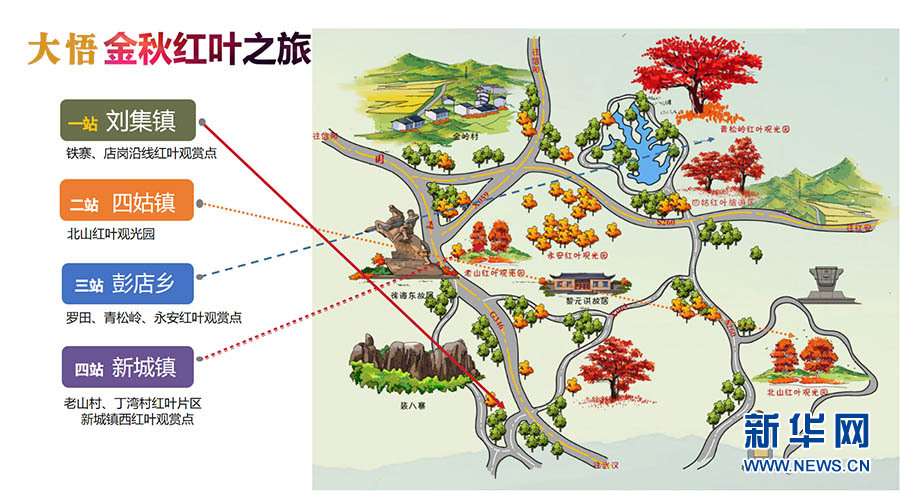 湖北大悟烏桕染紅 大別山五彩斑斕如天然畫卷