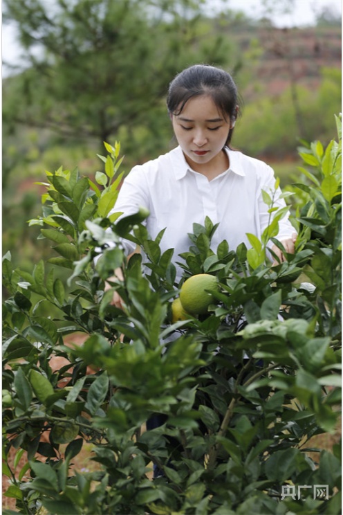 长征路上新青年丨创业英雄"瑶姑娘":广阔农村大有可