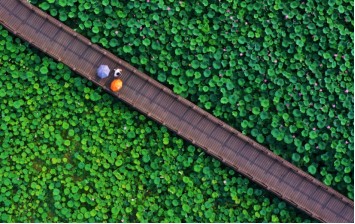 滨州｜一座很“劲儿”的城市