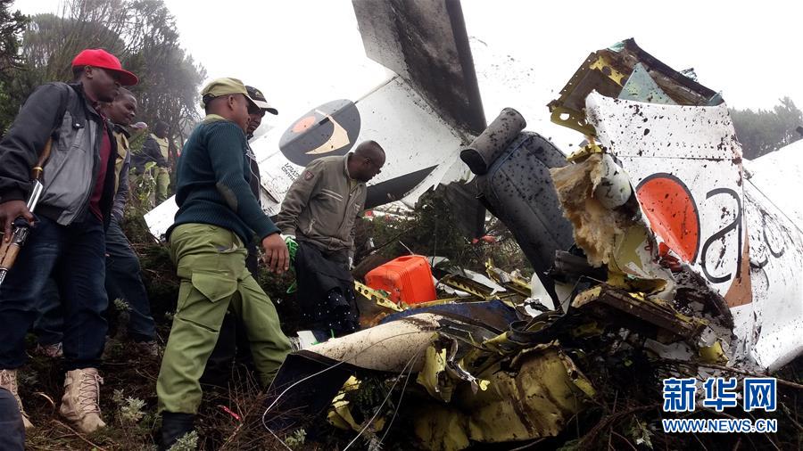 坦桑尼亚一小型飞机坠毁致11人遇难