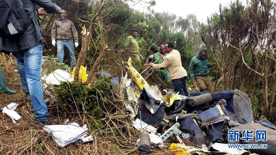 坦桑尼亚一小型飞机坠毁致11人遇难