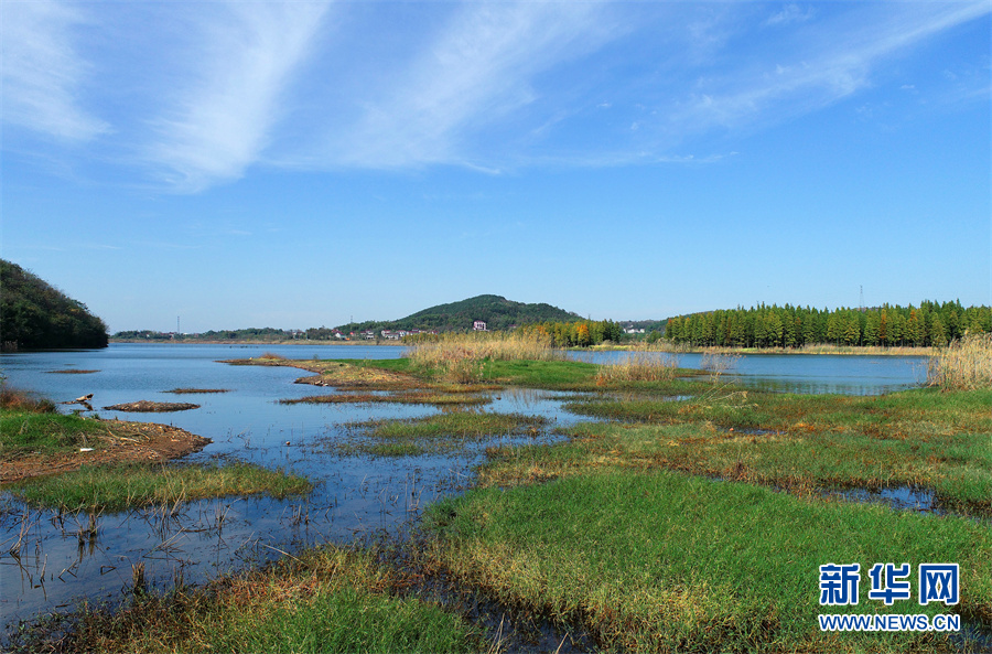 初冬霜色浓 湿地别样美