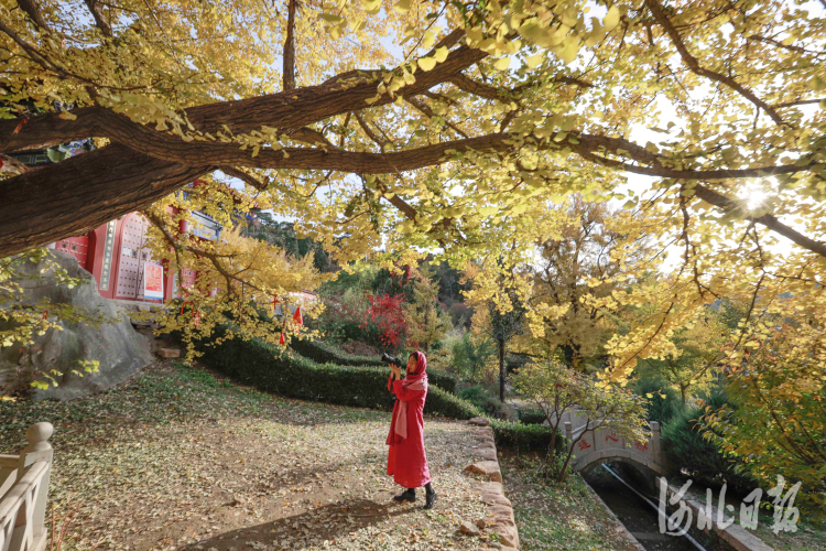 河北遵化：古寺秋景如画