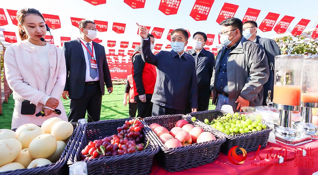 河北鹿泉：荒山变为“花果山” 特色产业助力乡村振兴