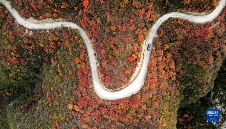 河北沙河：深秋紅葉染山林