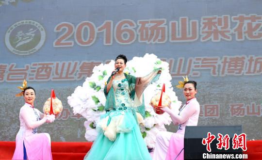 清明时节安徽砀山百万亩连片果园变“花海” 清明时节安徽砀山百万亩连片果园变“花海”