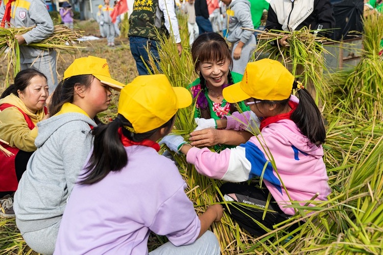 宁波市北仑区小学生参加劳动实践活动 收割自种水稻_fororder_小学生在田间学习水稻知识。董小飞摄