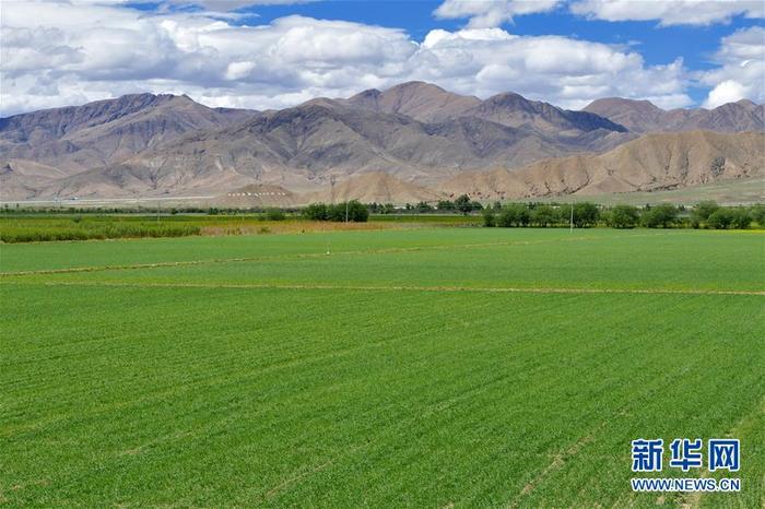 图片默认标题_fororder_CqgNOl0QLHqAYAnhAAAAAAAAAAA359.900x599