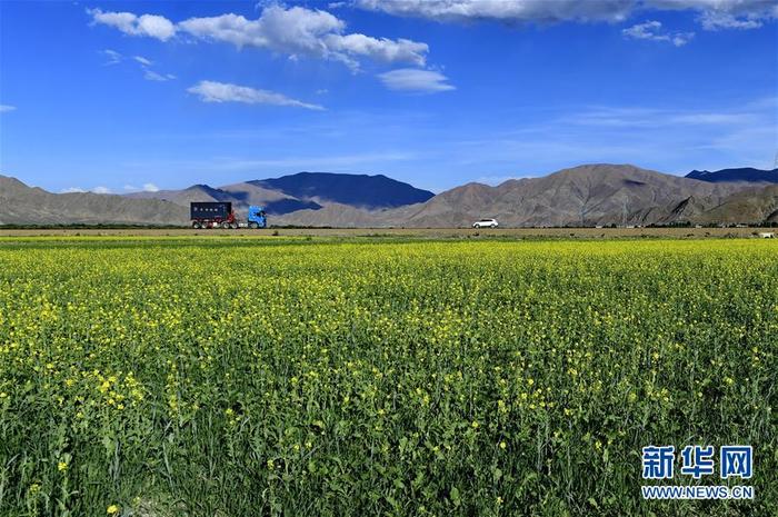 图片默认标题_fororder_CqgNOl0QLHqAGPGfAAAAAAAAAAA523.899x597