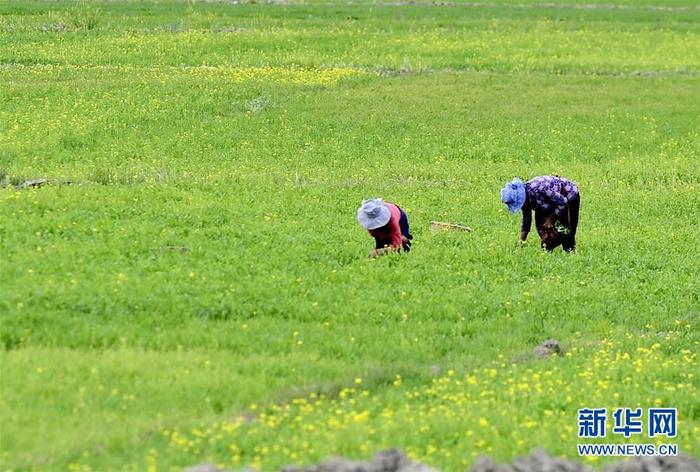 图片默认标题_fororder_CqgNOl0QLHqAHkfHAAAAAAAAAAA068.899x606