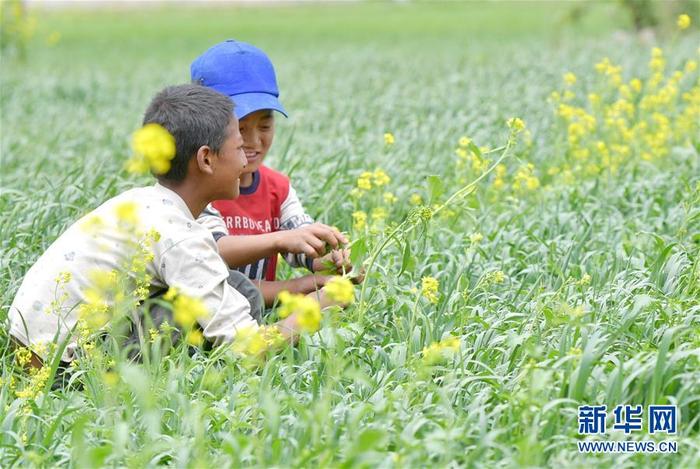 图片默认标题_fororder_CqgNOl0QLHuABplfAAAAAAAAAAA455.900x602