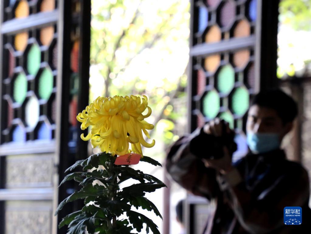 江苏苏州：狮子林赏菊