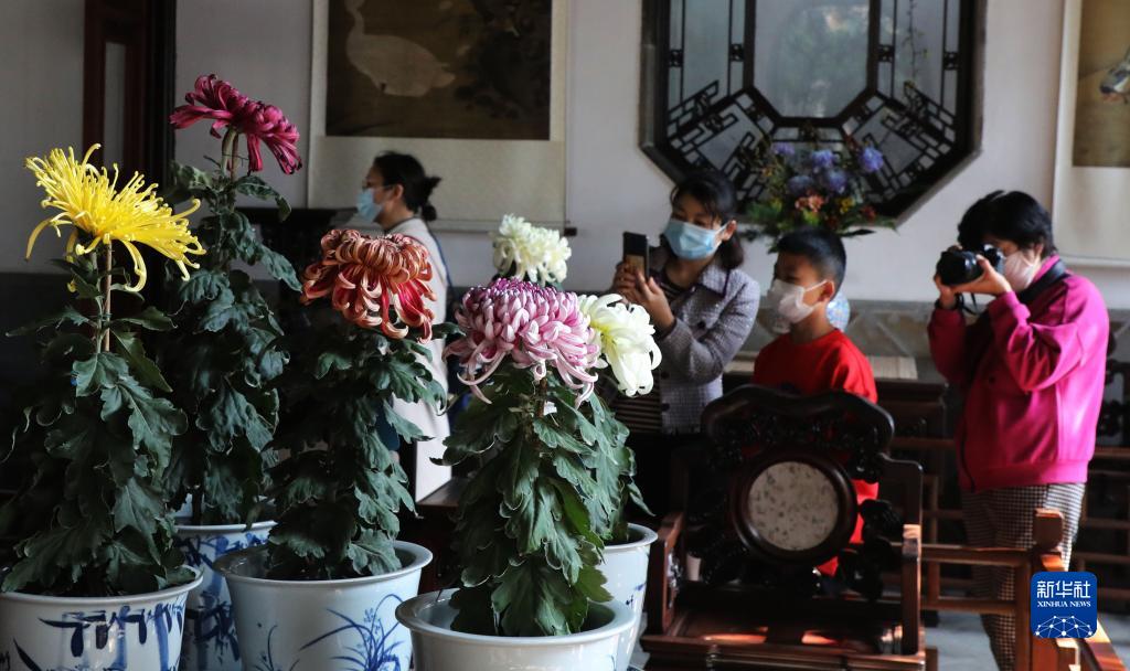 江苏苏州：狮子林赏菊