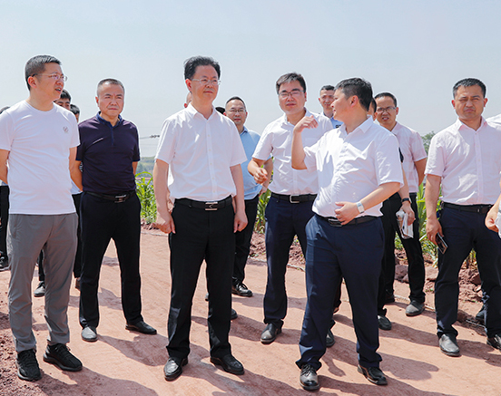 自贡市大安区委书记张昭国带队督察调研庙坝镇脱贫攻坚工作