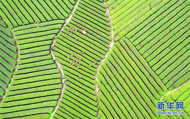 大美春天 航拍中国