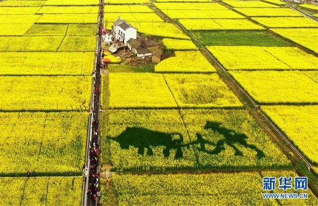 大美春天 航拍中国