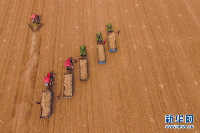 大美春天 航拍中国