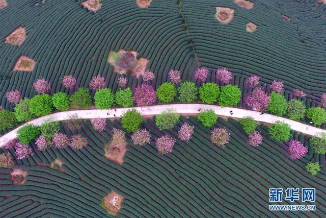 大美春天 航拍中国